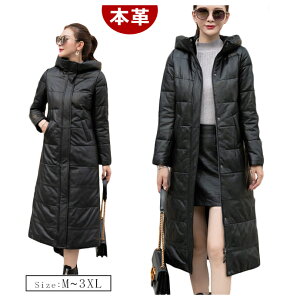 H~ AE^[ V {v _ER[g  fB[X OR[g O X t[ht U[R[g U[ rvR[g  g