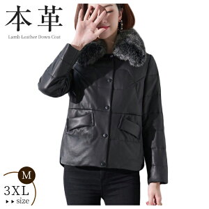 {v _E rvR[g U[R[g _ER[g U[R[g fB[X V[g  tHbNXt@[ n C IV