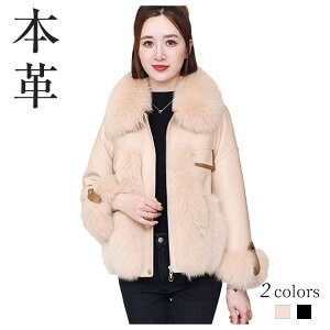 {v _ER[g _EWPbg U[ tHbNXt@[ AE^[ WPbg єR[g V[g ~ ~ fB[X  h h    g 傫TC