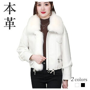 {v _ER[g _EWPbg U[ tHbNXt@[ AE^[ WPbg єR[g V[g ~ ~ fB[X  h h    g 傫TC