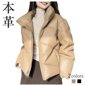 _ER[g fB[X R[g U[R[g {v U[ _E V[g ~ WPbg  VGbg u] h h  ~  g ʋ ʊw t@bV