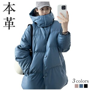 _ER[g fB[X R[g U[R[g {v U[ _E ~h t[ht ~ WPbg  VGbg u] h h  ~  g ʋ ʊw t