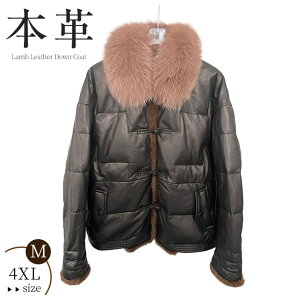 _ER[g fB[X U[R[g {v U[ rv _E R[g AE^[ V[g ~  g tHbNXt@[ ӂӂ h h ʋ ʊw  傫TCY 