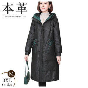 U[ _ER[g {v R[g rvR[g _E U[_ER[g fB[X AE^[ t[ht 㒅  g h ~h _炩 ʋ ʊw  fB[X 