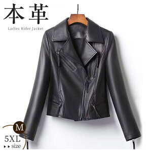 {v R[g rv WPbg U[R[g  AE^[ V[g U[ y t H ~ R[g C_[X vu] X[c  X vW  ubN U[WPbg