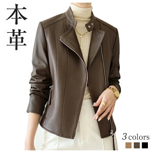 {v R[g rv WPbg U[R[g  AE^[ V[g U[ t H ~ R[g C_[X vu] X[c  X vW  ubN U[WPbgv