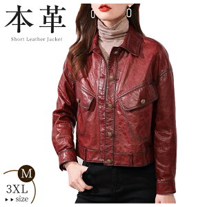 U[ R[g fB[X U[R[g {v WPbg V[vXL  X V[g {^ JWA  t H AE^[ vW t@bV Vi