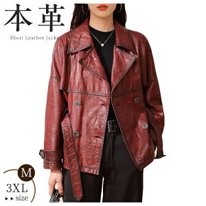 U[ R[g fB[X U[R[g {v WPbg V[vXL  X V[g {^ JWA  t H AE^[ vW t@bV Vi