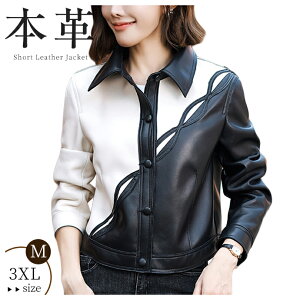 {v U[ vW R[g WPbg fB[X V[g vW R[g AE^[  t H JWA C_[XWPbg u] VO