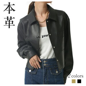 U[WPbg vW R[g vR[g fB[X C_[XWPbg {v U[ V[g R[g rv t H  ubN t@bV AE^[ ʋ