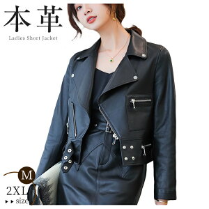 fB[X C_[XWPbg oCNWPbg {v U[ vW u] R[g U[R[g WPbg AE^[ V[g X   t H 