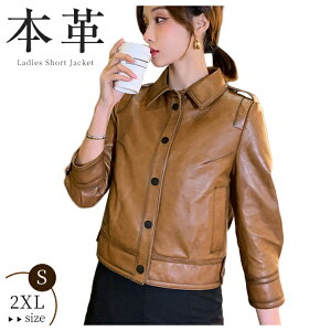 fB[X U[R[g {v WPbg rv U[WPbg U[ C_[XWPbg u] vW V[g X fB[Xt@bV  t H ~ AE^[