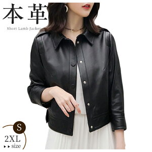 fB[X U[R[g {v WPbg rv U[WPbg U[ C_[XWPbg u] vW V[g X fB[Xt@bV  t H ~ AE^[ 