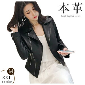 fB[X C_[XWPbg oCNWPbg Vi {v U[ vW u] R[g U[R[g WPbg AE^[ V[g X   t H 