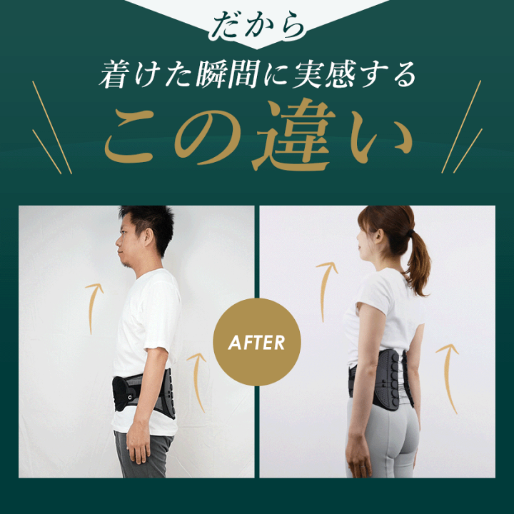 ガードナーベルト 男女兼用 Lサイズ 正規品 腰サポーター