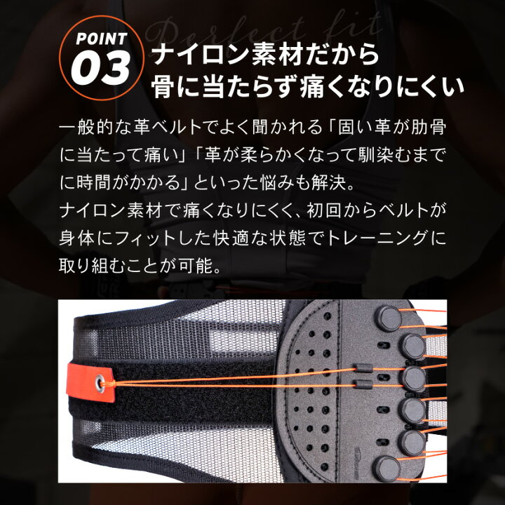 楽天市場】【正規品】 ガードナー フィットネスベルト トレーニング 