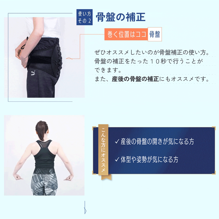 楽天市場】【ガードナー 公式】ガードナーベルト(骨盤ベルト) 骨盤