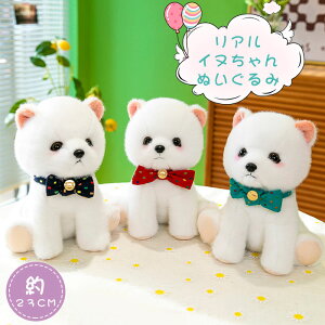 ʂ ӂӂ   Ck 킢 ybg A ̂ |jA ̂  ʂ ybg ~j { NX}X v[g Mtg 蕨  