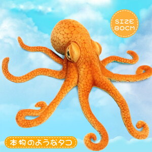 ʂ ^R { A nEB LbY q nEB HALLOWEEN Cm NX}X a v[g  傫TCY ^ J[pi ԗpi h CeA Aj} 