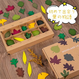 木のおもちゃ 知育玩具 積み 色認識 植物認識植物2歳 3歳 4歳 5歳 6歳 誕生日ギフト 出産祝い 木製 葉 木の葉 カラフル 植物 認識 モンテッソーリ おもちゃ 型はめ 子供 ブロック パズル 木製 知育 オモチャ 玩具 室内 遊び キッズ 誕生日プレゼント 木製パズル