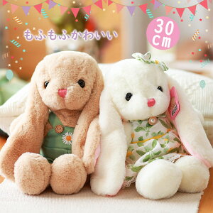  ʂ ETM  ObY G ̎q w  Aj} ETM LbY  q oYj ӂӂ ޏ a v[g ǂ̓ Mtg ޏ 蕨 1 2 3 4