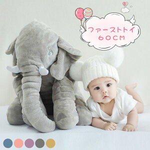 60cm ]E ʂ SNSőlCI   CeA q    t@[XggC ӂӂ _炩 v[g  ۈ牀  oY  xr[ LbY 蕨 M