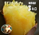 紅はるか【2kg増量&300円OFF】3kg→5kg3箱まで送料同一!さつまいも!べにはるか豚が育てたサツマイモ しっとり甘いさつま芋千葉県産