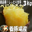 3箱まで送料同一!紅はるか【2kg増量】3kg→5kgさつまいも!べにはるか豚が育てたサツマイモ しっとり甘いさつま芋千葉県産