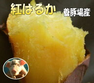 豊作【2kg増量】5kg→7kg!2箱で送料無料☆蜜芋!しっとり甘いも訳あり紅はるか7kg(べにはるか)養豚場が良…