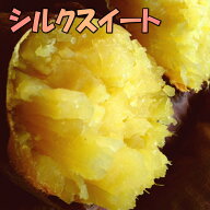 豊作！【2kg増量】5kg→7kg訳ありシルクスイート2箱で送料無料☆えっ!?養豚場がさつまいも?甘くなめらか…