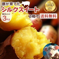 さつまいも シルクスイート 3kg 千葉県産 2026年新物 豚が育てた絹芋 甘くなめらか 焼き芋 さつま芋 薩摩…