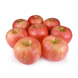 GuCra　グクラ　りんご　(紅UP)　本物そっくりな模型　8個セット　食品サンプル　果物模型