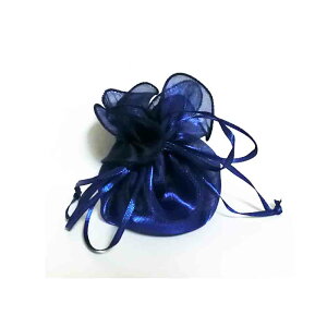 В܁@bsOpi@@Mtgpi@10 (u[ubN)