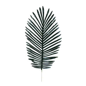 V̗t@ԁ@썑t@gsJ[t@fBXvCɁ@tFCNO[@5{Zbg@(^CvA)