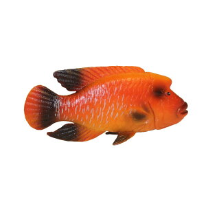 Ru_C͌^@Mы@͌^@tBMA@ԁ@faf-ktr18