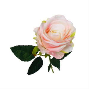 o@KN@ԁ@1ց@xr[sN@002-011