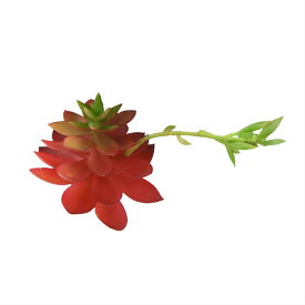 多肉植物　アロエ　エケベリア　造花　レッド　1株　002-051