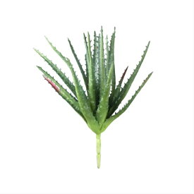 楽天市場 花 観葉植物 種類 植物 アロエ 花 ガーデン Diy の通販 楽天市場 花 観葉植物 種類 植物 アロエ 花 ガーデン Diy の通販