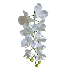 @@ԁ@1{@zCg@@002-063