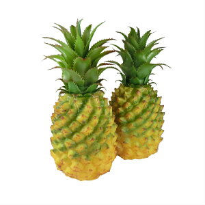 GuCra@ON@pCibv@(UP)@͌^@2Zbg@HiTv@fBXvCɍœK