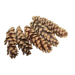 造花 アーティフィシャルフラワー 松ぼっくりの人気商品 通販 価格比較 価格 Com