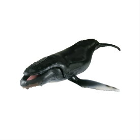鯨　クジラ　くじら　魚模型　魚フィギュア タイプA
