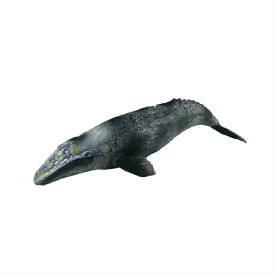 鯨　クジラ　くじら　魚模型　魚フィギュア タイプC