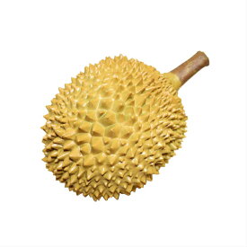 楽天市場 ドリアン 果物 造花 人工観葉植物 花 観葉植物 花 ガーデン Diyの通販