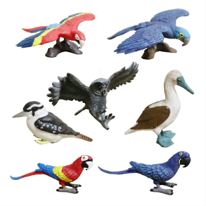 楽天市場】鳥 バード 鳥模型 動物フィギュア 7体セット : ディスプレイ  