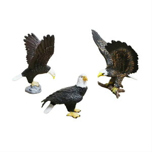 @o[h@͌^@tBMA@3̃Zbg@IIV