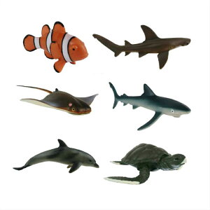 @͌^@tBMA@C̐@6̃Zbg@iAZbgj