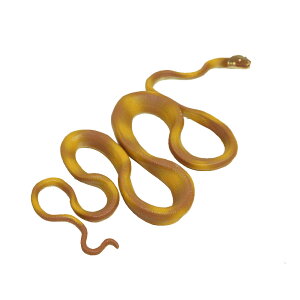 ց@wr@Xl[N@ւі͌^@tBMA@঒