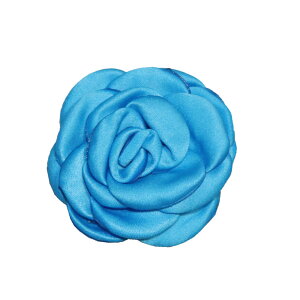 Ԍ`@{@t[{@J[Fu[@10@bsOfށ@t@bVfށ@|@^[E蕨