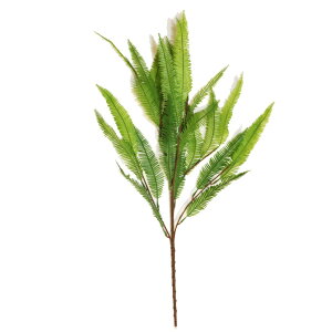 tFCNO[@V_nϗtAi^CvAj@ԁ@t@CeA@fBXvC